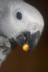 join me for dinner? © Guy Sagi