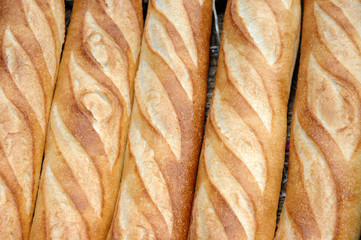 french bread baguettes