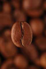 coffee-bean
