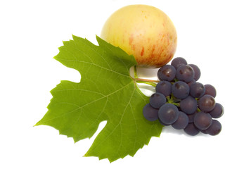 autumn still-life