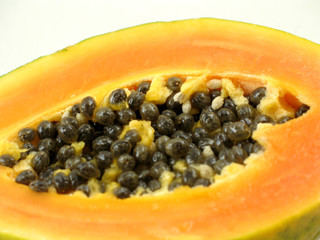 close-up of papaya seeds on white