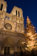 Fototapeta na wymiar Boże Narodzenie w Notre-Dame