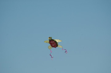 Fototapeta na wymiar flying turtle kite