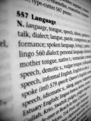 definition of language