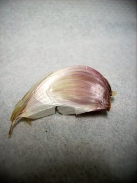 clove of garlic