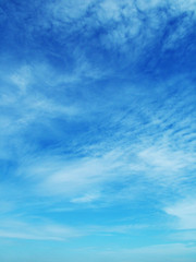 blue sky - 1970318