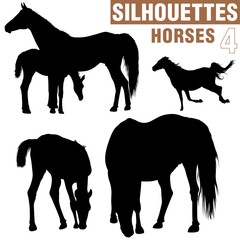 Obraz premium horses silhouettes 4