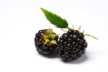 blackberry