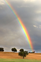 rainbow
