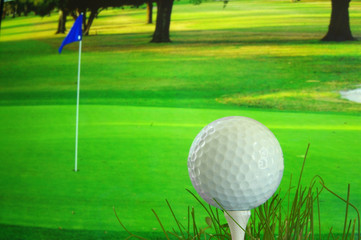 to the green