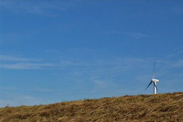 Fototapeta na wymiar windmill zaandam netherlands