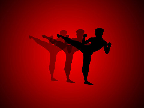 abstract graphic art , kung fu