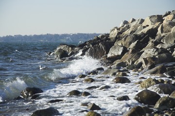 ocean shoreline