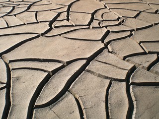 la s&eacute;cheresse