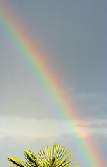 arc en ciel