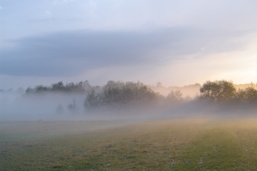 paysage  de brume après l'orage