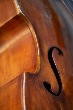 bass