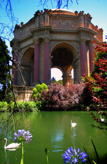 palace of fine arts, san francisco