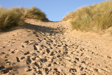 a path over the dunes, covered in footprints.
