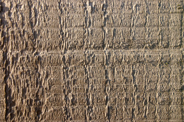 close up of wood grain background.