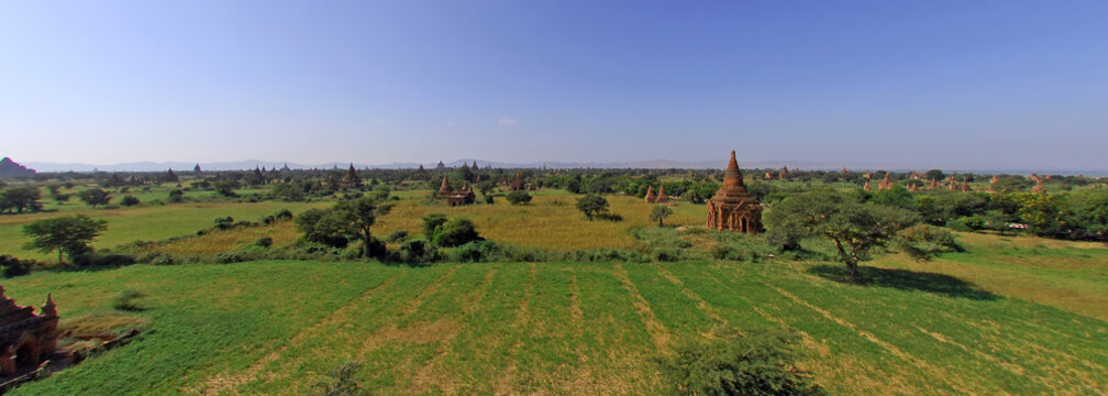 myanmar, bagan: general panorama