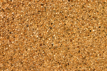 pebbledashed wall in warm sunlight.