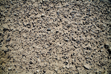 stony desert