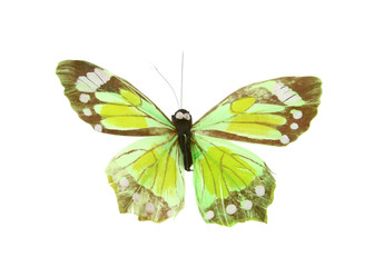 Obraz na płótnie Canvas artificial butterfly on white background