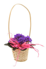 Fototapeta na wymiar decorative basket full of violets