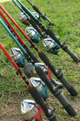 row of fishing poles © Wollwerth Imagery