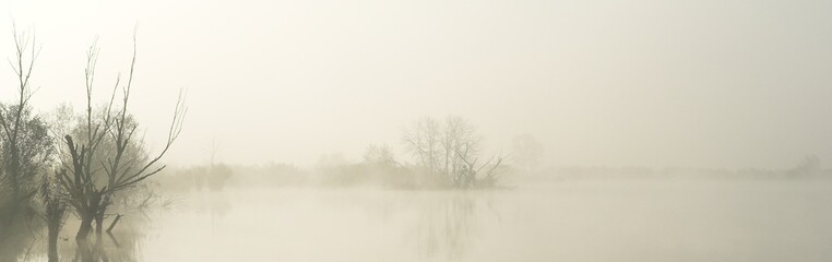 the fogg on the lake