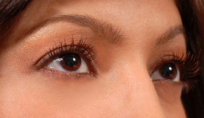 Fototapeta premium closeup of attractive woman's brown eyes