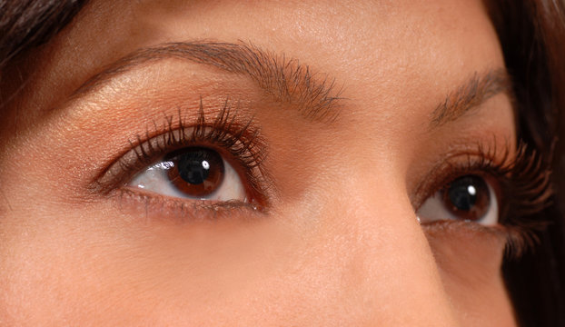 closeup of attractive woman's brown eyes