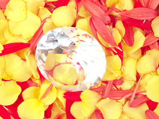 diamond and flower petals (rose and gerbera daisy)