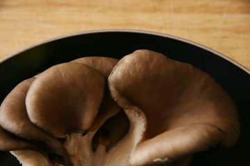 mushrooms.
