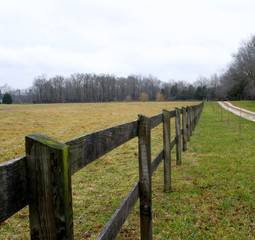 Obraz premium fence