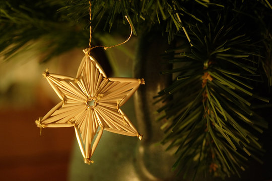 weihnachtsstern