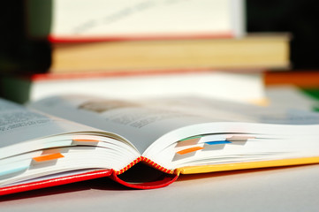 reading book with bookmarks