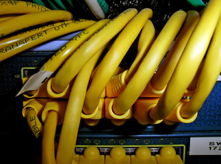 patch cords