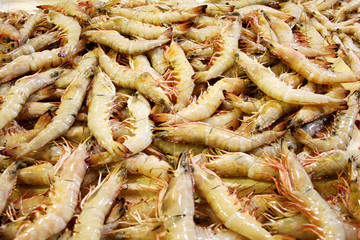 bunch of shrimps