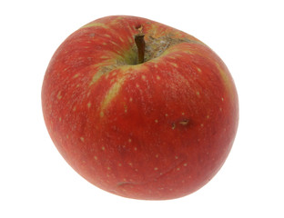 apple on white