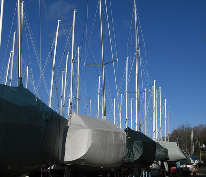 sailboats in a row for winter