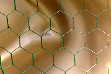 Fototapeta premium abstract tan background