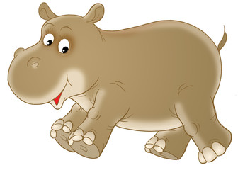 hippopotamus