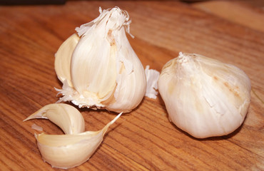 garlic