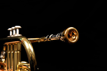 trumpet