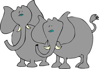 Obraz na płótnie Canvas two elephants