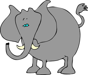 elephant