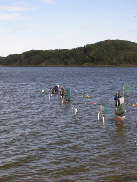 fishermen in line