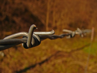 barbed wire diagonal